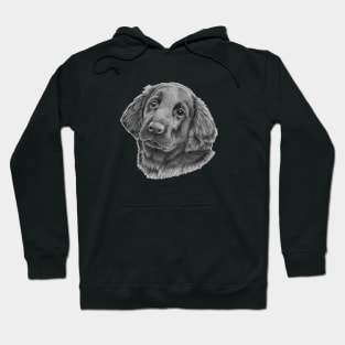 Flatcoated retriever puppy Hoodie